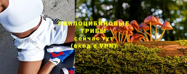 винт Шали