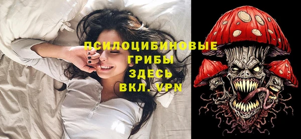 дмт Зеленокумск