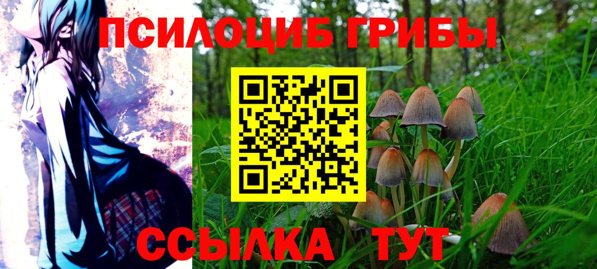 Галлюциногенные грибы прущие грибы Курган